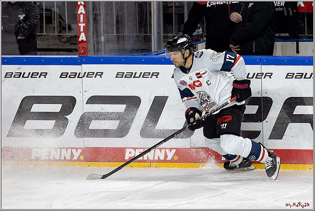 PENNY DEL;  Koelner Haie - Nuernberg Ice Tigers; Koeln, 03.12.2021